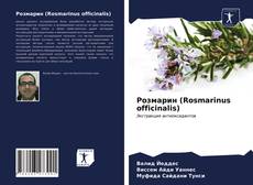 Portada del libro de Розмарин (Rosmarinus officinalis)