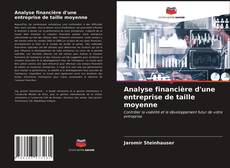 Bookcover of Analyse financière d'une entreprise de taille moyenne