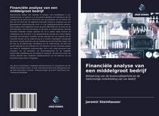 Financiële analyse van een middelgroot bedrijf kitap kapağı