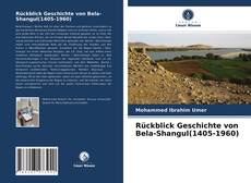 Rückblick Geschichte von Bela-Shangul(1405-1960) kitap kapağı