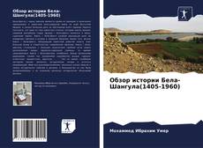 Copertina di Обзор истории Бела-Шангула(1405-1960)