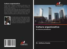 Cultura organizzativa的封面