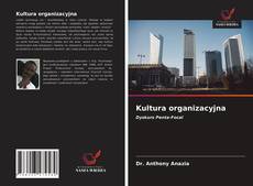 Kultura organizacyjna kitap kapağı