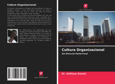 Portada del libro de Cultura Organizacional