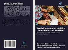 Bookcover of Profiel van Ambachtelijke Ondernemers in Ecuador