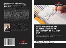 Tax Efficiency in the Federal District: An assessment of ISS with DEA的封面