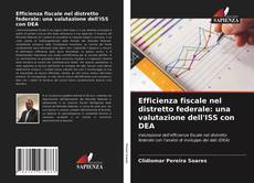 Efficienza fiscale nel distretto federale: una valutazione dell'ISS con DEA的封面