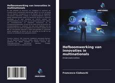 Bookcover of Hefboomwerking van innovaties in multinationals