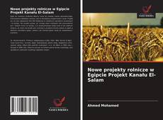 Bookcover of Nowe projekty rolnicze w Egipcie Projekt Kanału El-Salam