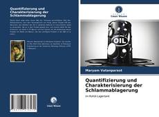 Bookcover of Quantifizierung und Charakterisierung der Schlammablagerung