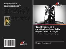 Bookcover of Quantificazione e caratterizzazione della deposizione di fango