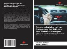 Bookcover of Segnetoelectrics bei der Steigerung der Effizienz von Elektrofahrzeugen