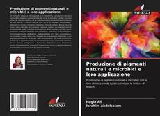 Portada del libro de Produzione di pigmenti naturali e microbici e loro applicazione