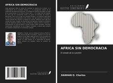 AFRICA SIN DEMOCRACIA的封面