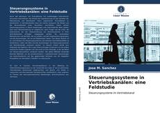 Steuerungssysteme in Vertriebskanälen: eine Feldstudie kitap kapağı