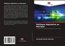 Politique législative au Mexique kitap kapağı