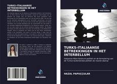Bookcover of TURKS-ITALIAANSE BETREKKINGEN IN HET INTERBELLUM