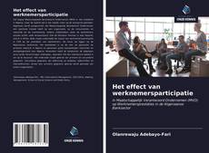 Couverture de Het effect van werknemersparticipatie