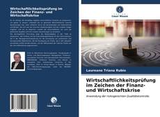 Portada del libro de Wirtschaftlichkeitsprüfung im Zeichen der Finanz- und Wirtschaftskrise