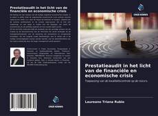 Bookcover of Prestatieaudit in het licht van de financiële en economische crisis