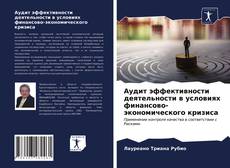 Portada del libro de Аудит эффективности деятельности в условиях финансово-экономического кризиса