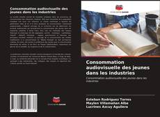 Buchcover von Consommation audiovisuelle des jeunes dans les industries