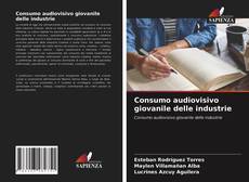 Portada del libro de Consumo audiovisivo giovanile delle industrie