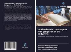 Bookcover of Audiovisuele consumptie van jongeren in de industrie