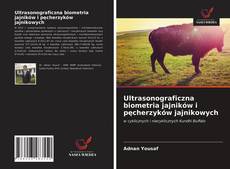 Bookcover of Ultrasonograficzna biometria jajników i pęcherzyków jajnikowych