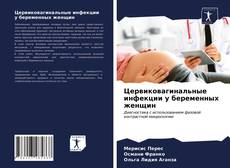 Capa do livro de Цервиковагинальные инфекции у беременных женщин 