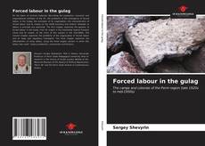 Capa do livro de Forced labour in the gulag 