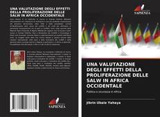 Bookcover of UNA VALUTAZIONE DEGLI EFFETTI DELLA PROLIFERAZIONE DELLE SALW IN AFRICA OCCIDENTALE
