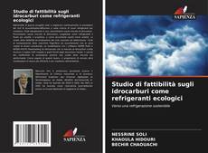 Studio di fattibilità sugli idrocarburi come refrigeranti ecologici的封面