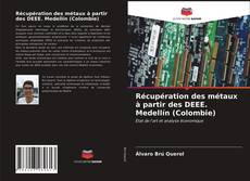 Buchcover von Récupération des métaux à partir des DEEE. Medellín (Colombie)