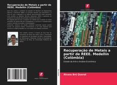 Buchcover von Recuperação de Metais a partir de REEE. Medellín (Colômbia)