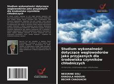 Copertina di Studium wykonalności dotyczące węglowodorów jako przyjaznych dla środowiska czynników chłodniczych