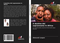 Il destino del soprannome in Africa kitap kapağı