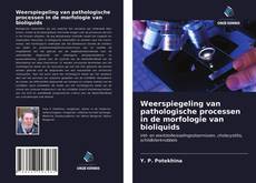 Bookcover of Weerspiegeling van pathologische processen in de morfologie van bioliquids