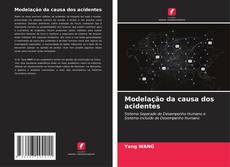 Bookcover of Modelação da causa dos acidentes