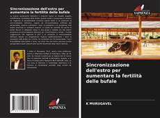 Copertina di Sincronizzazione dell'estro per aumentare la fertilità delle bufale