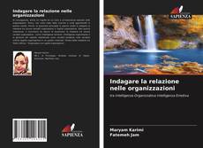 Portada del libro de Indagare la relazione nelle organizzazioni