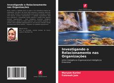 Capa do livro de Investigando o Relacionamento nas Organizações 