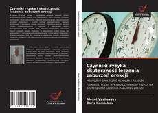 Bookcover of Czynniki ryzyka i skuteczność leczenia zaburzeń erekcji