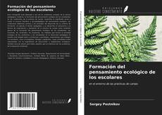 Bookcover of Formación del pensamiento ecológico de los escolares