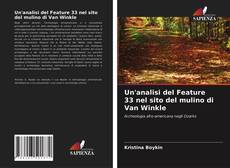 Copertina di Un'analisi del Feature 33 nel sito del mulino di Van Winkle