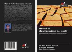 Copertina di Metodi di stabilizzazione del suolo