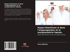 Обложка Hypervitaminose A dans l'organogenèse et la morphométrie fœtale.