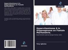 Bookcover of Hypervitaminose A in Organogenese en Foetale Morfometrie.