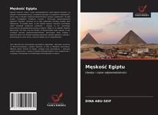 Bookcover of Męskość Egiptu