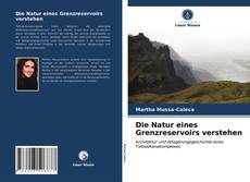 Bookcover of Die Natur eines Grenzreservoirs verstehen